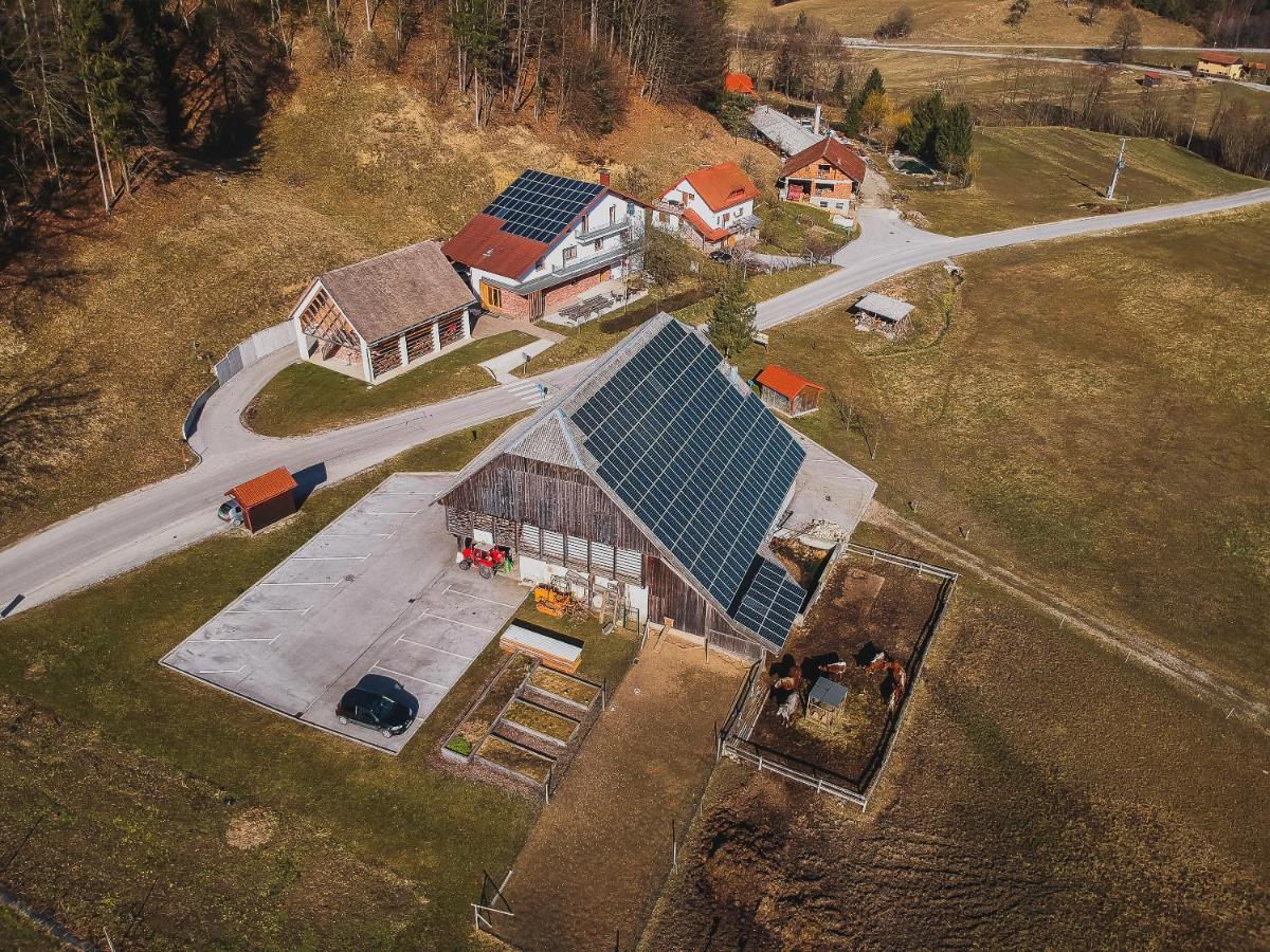 Farm stay Žurej 森图尔 外观 照片