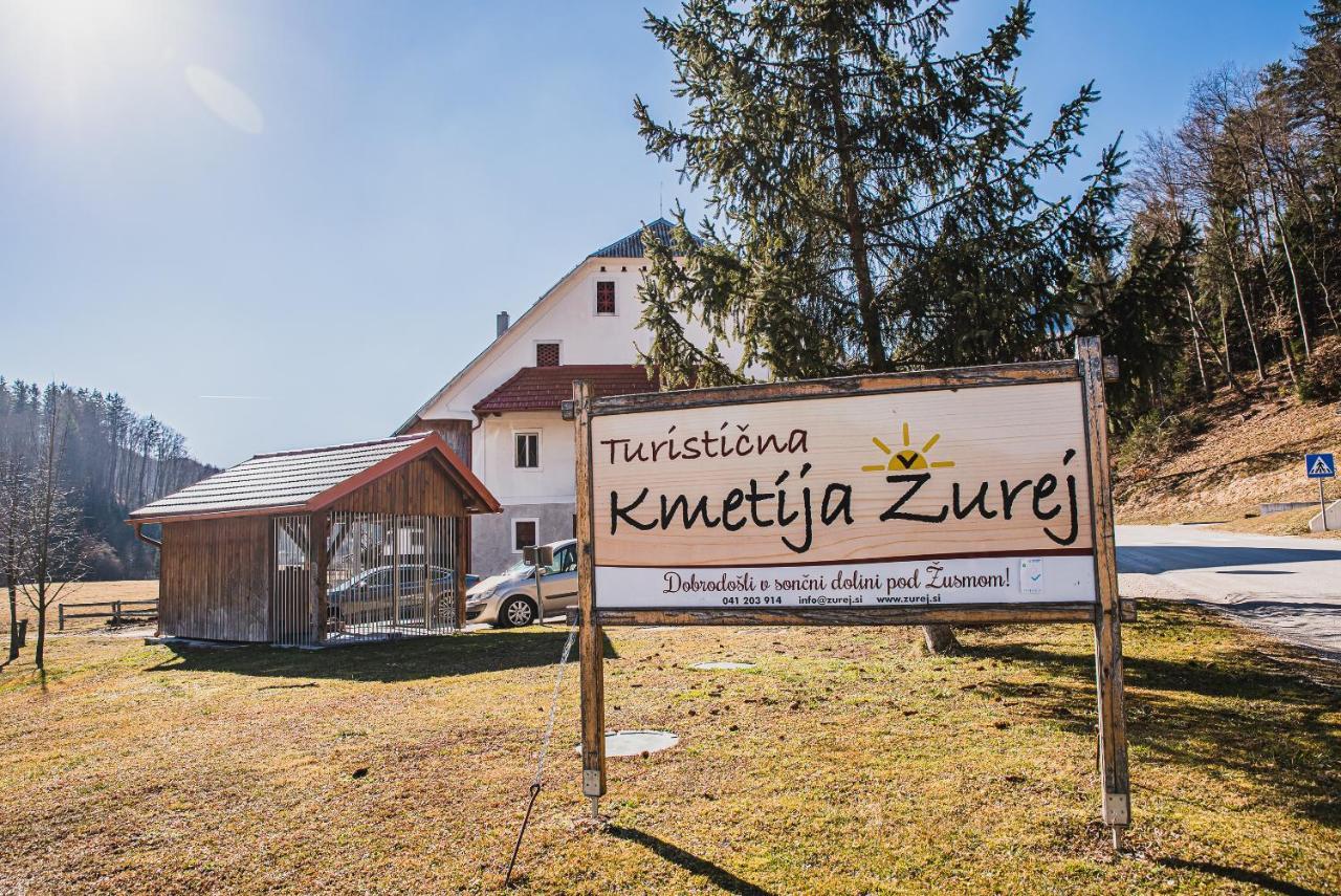 Farm stay Žurej 森图尔 外观 照片